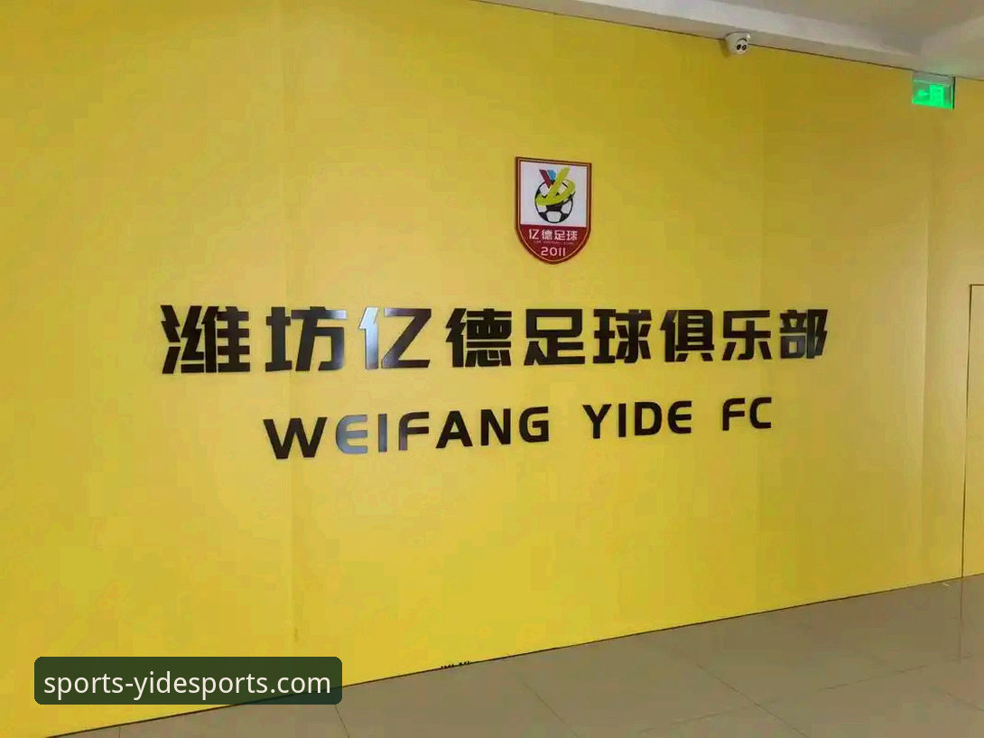 亿德使用教程攻略 亿德官方网站入口 vs 亿德体育app下载:两种使用方式全面对比